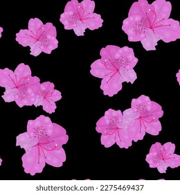 Seamless floral pattern with purple blossom on black background. Azalea or rhododendron flowers. 