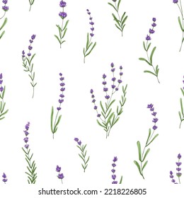 Nahtlose Blumenmuster mit violettem Lavendel. Botanischer Hintergrund, französische violette Blumen, die sich wiederholen. Blühende Kräuter strukturieren Design mit Provence Lavanda Blüten. handgezeichnete Vektorgrafik