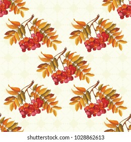 Seamless floral pattern with Red berries and branches leaver on colorful background Vector Illustration