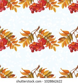 Seamless floral pattern with Red berries and branches leaver on colorful background Vector Illustration
