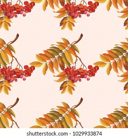 Seamless floral pattern with Red berries and branches leaver on colorful background Vector Illustration
