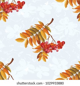 Seamless floral pattern with Red berries and branches leaver on colorful background Vector Illustration

