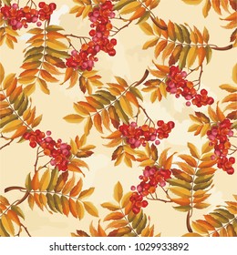 Seamless floral pattern with Red berries and branches leaver on colorful background Vector Illustration
