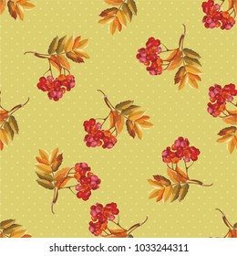 Patrón floral sin fisuras con bayas rojas y ramas que dejan en el fondo colorido Vector Ilustración
