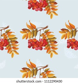 Seamless floral pattern with Red berries and branches leaver on colorful background Vector Illustration