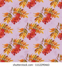 Seamless floral pattern with Red berries and branches leaver on colorful background Vector Illustration
