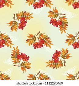 Seamless floral pattern with Red berries and branches leaver on colorful background Vector Illustration