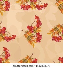Patrón floral sin fisuras con bayas rojas y ramas que dejan en el fondo colorido Vector Ilustración