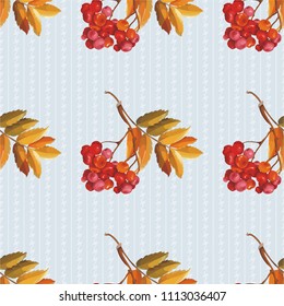 Patrón floral sin fisuras con bayas rojas y ramas que dejan en el fondo colorido Vector Ilustración