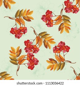 Seamless floral pattern with Red berries and branches leaver on colorful background Vector Illustration