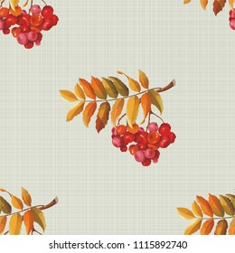 Patrón floral sin fisuras con bayas rojas y ramas que dejan en el fondo colorido Vector Ilustración