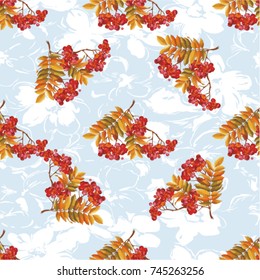 Patrón floral sin fisuras con bayas rojas y ramas que dejan en el fondo colorido Vector Illustración EPS8