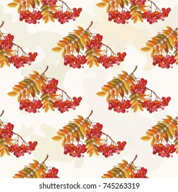 Seamless floral pattern with Red berries and branches leaver on colorful background Vector Illustration EPS8