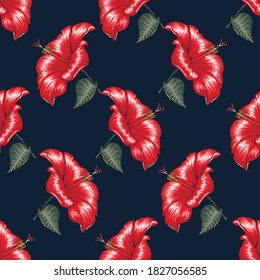 Flores de hibiscus rojas sin foco sobre fondo azul oscuro aislado.Dibujo manual de ilustración vectorial.