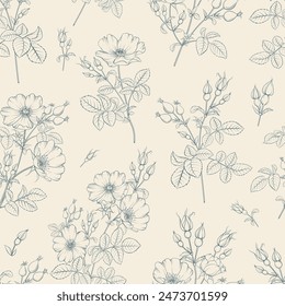 Seamless floral pattern with Rose. Botanical rosehip