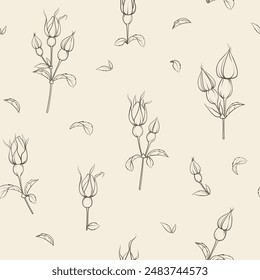 Seamless floral pattern with Rose. Botanical rosehip