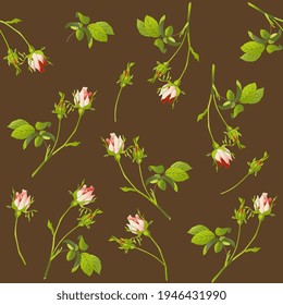 Nahtlose Blumenmuster mit Rosenästen. Auf braunem Hintergrund.