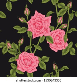 Seamless floral pattern with roses  on dark background. Engraving style. Template design for textiles, interior, clothes, wallpaper. Botany. Vector illustration art

