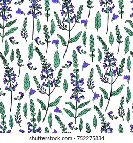Seamless floral pattern Sage flower, bud, leaves vector isolated on white background, Hand drawn healing herb, colorful illustration salvia officinalis, design plant for cosmetic, wallpaper, package