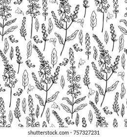 Seamless floral pattern Sage flower, bud, leaves vector isolated on white background, Hand drawn healing herb, line art illustration salvia officinalis, design plant for cosmetic, wallpaper, package