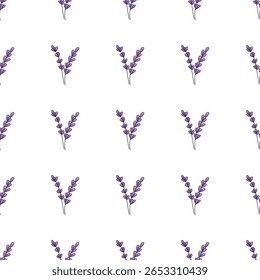 Padrão floral perfeito. Uma flor de sálvia ou lavanda, uma erva medicinal desenhada à mão sobre um fundo branco