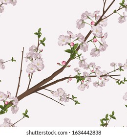 Seamless floral pattern. Sakura branch. Vintage luxury decoration. Illustration Oriental cherry tree on white background.