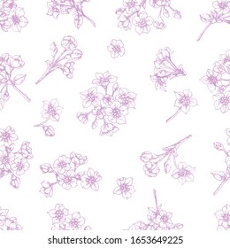 Seamless floral pattern, from sakura flowers, drawn by a lilac contour on a white background. Design for fabric, wrapping paper, print.
