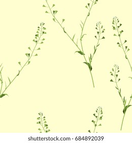 Seamless floral pattern with shepherd's purse wild flower. Delicate pastel colors on pale yellow background.