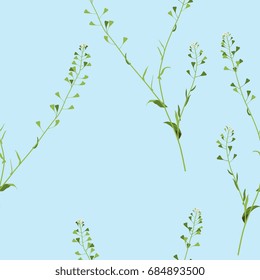 Seamless floral pattern with shepherd's purse wild flower. Delicate pastel colors on light blue background.