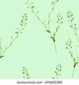 Seamless floral pattern with shepherd's purse. Delicate colorful wild flowers on light green background.