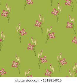 Seamless floral pattern with small branches of pink wild flowers. Gillyflower or carnation. Matthiola bicornis. Clove blossom.