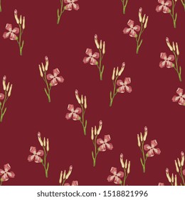 Seamless floral pattern with small branches of pink wild flowers. Gillyflower or carnation. Matthiola bicornis. Clove blossom.