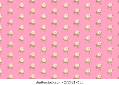 Nahtloses Blumenmuster mit kleinen weißen Blumen, Farbfeld in Farbfeldern erhältlich, rosafarbener Hintergrund, botanisches Design