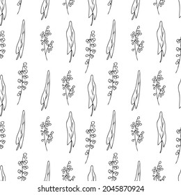 Patrón floral sin soldadura Sorrel planta vector ilustración dibujada a mano aislada en fondo blanco, boceto de tinta, línea de hierbas decorativas hierba de la medicina para el diseño cosmético, medicina natural, cocina