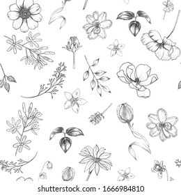 Seamless floral pattern with spring flowers.