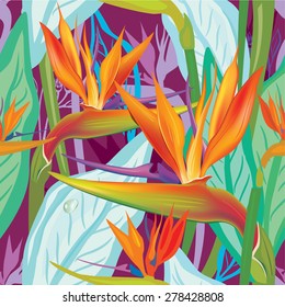 Seamless floral pattern with Strelitzia