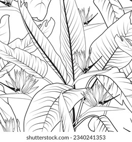 Seamless floral pattern with strelitzia or bird of paradise flowers. Black and white line art strelitzia background. Summer vector illustration.