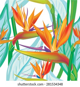 Seamless floral pattern with Strelitzia on white