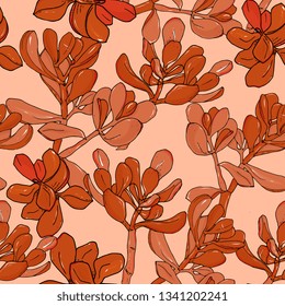seamless floral pattern with succulents,Crassula Ovata, Cactus.exotic home plants.Hand drawing, linart, sketch. For packaging, cloth, paper, wrappers