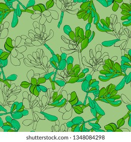 seamless floral pattern with succulents,Crassula Ovata, Cactus.exotic home plants.Hand drawing, linart, sketch. For packaging, cloth, paper, wrappers