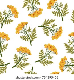 Seamless floral pattern with tansy plants. Cute folk style.
