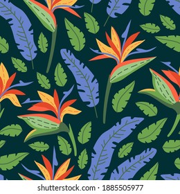 Seamless floral pattern with tropical flowers on dark background. Vector illustration.