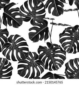 Seamless floral pattern with Tropical Monstera plant. Tropical leaves in retro style. Hand drawn pattern. Line art. Black white colors.