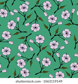 Seamless floral pattern with twigs of apricot tree blossom.