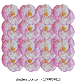 Seamless floral pattern. Vector illustration