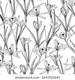 Seamless floral pattern vector outline. Romantic Crocus delicate flowers will suit print on fabric, Wallpaper, wrapper and design.