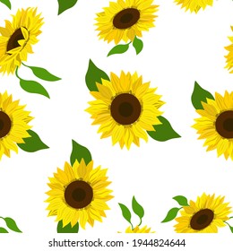 
Seamless floral pattern, vector. Sunflowers on white background.