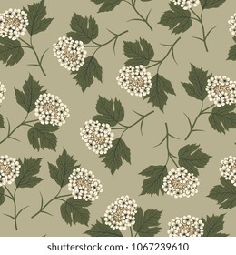 Seamless floral pattern with viburnum blossom. 