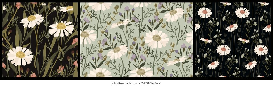 Seamless floral pattern, vintage old fashion flower print of large chamomiles. Elegant botanical design: hand drawn wild flowers, herbs, leaves, branches on different backgrounds. Vector illustration.
