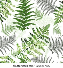 Seamless floral pattern in vintage style. Leaves and plants. Botanical illustration. Fern seamless background. Vector illustration